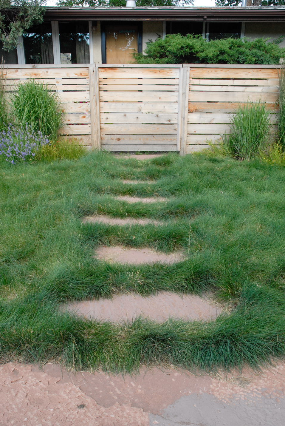 Contemporary Xeriscape